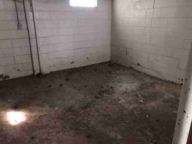 Testing again(55).jpg